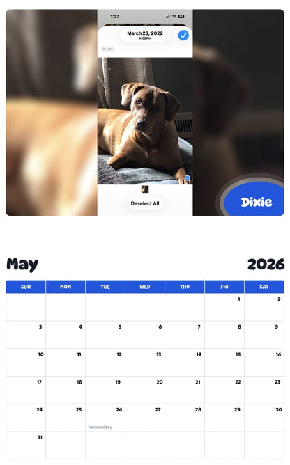 2026 - 2027 Dixie - Pawidols Pet Calendar
