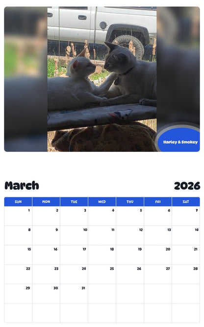 November 2025 - October 2026 Harley & Smokey - Pawidols Pet Calendar