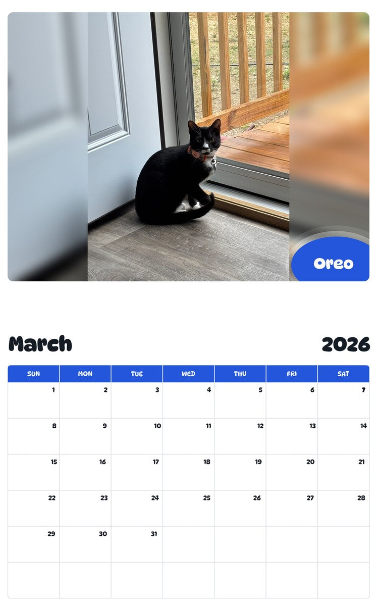 November 2025 - October 2026 Oreo - Pawidols Pet Calendar