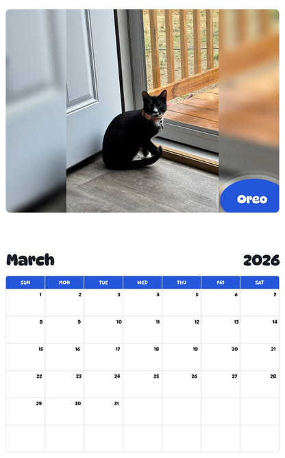 November 2025 - October 2026 Oreo - Pawidols Pet Calendar