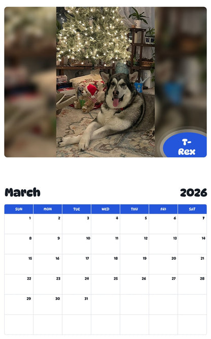 November 2025 - October 2026 T-Rex - Pawidols Pet Calendar