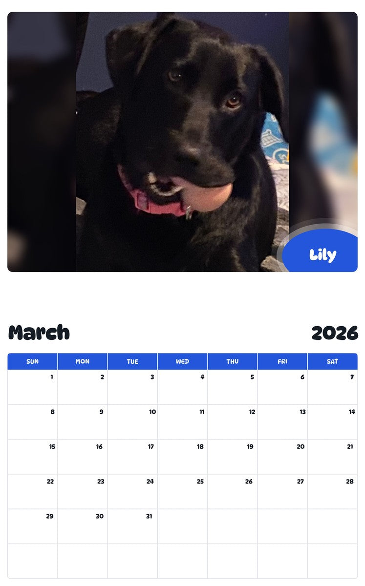 November 2025 - October 2026 Lily - Pawidols Pet Calendar