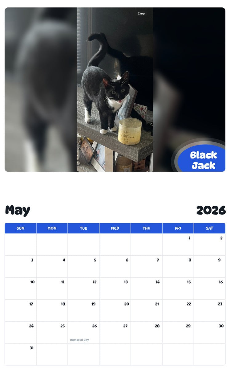 2026 - 2027 Black Jack - Pawidols Pet Calendar
