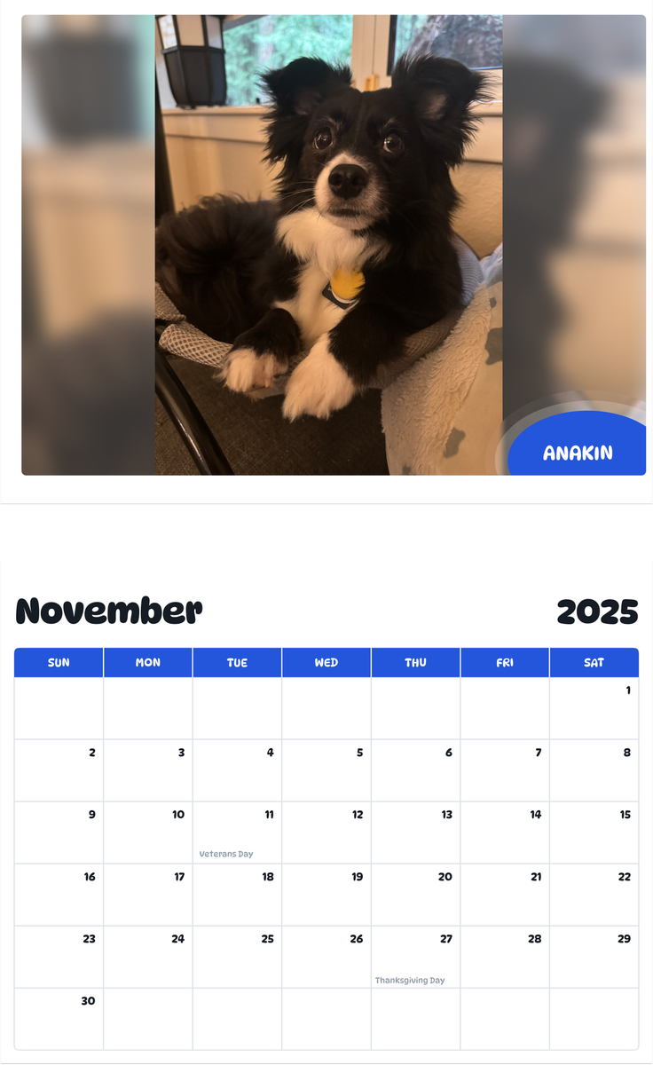 July 2025 june 2026 anakin pawidols pet calendar