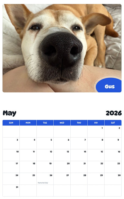 2026 - 2027 Gus - Pawidols Pet Calendar