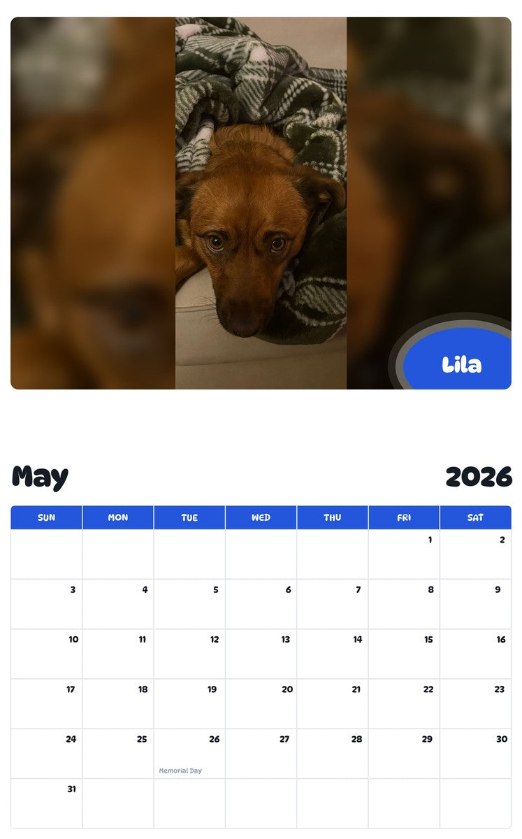 2026 - 2027 Lila - Pawidols Pet Calendar