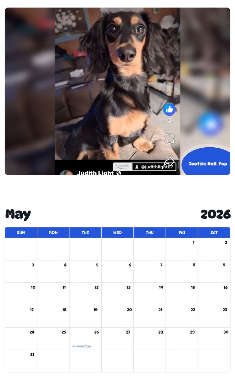 2026 - 2027 Tootsie Roll  Pop - Pawidols Pet Calendar