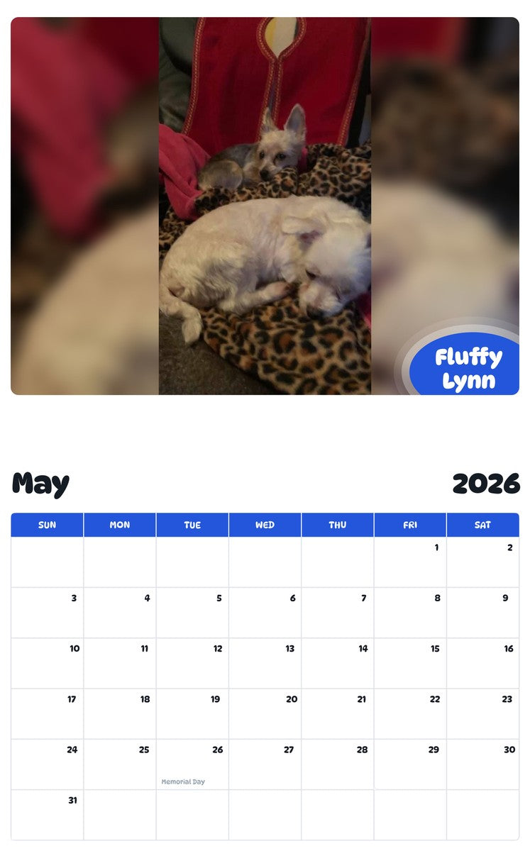 2026 - 2027 Fluffy Lynn - Pawidols Pet Calendar