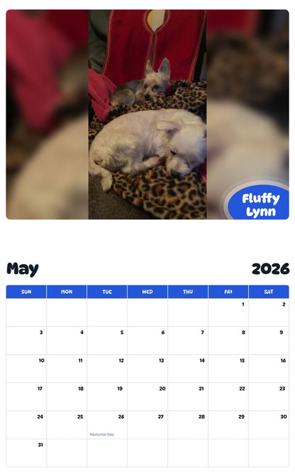 2026 - 2027 Fluffy Lynn - Pawidols Pet Calendar