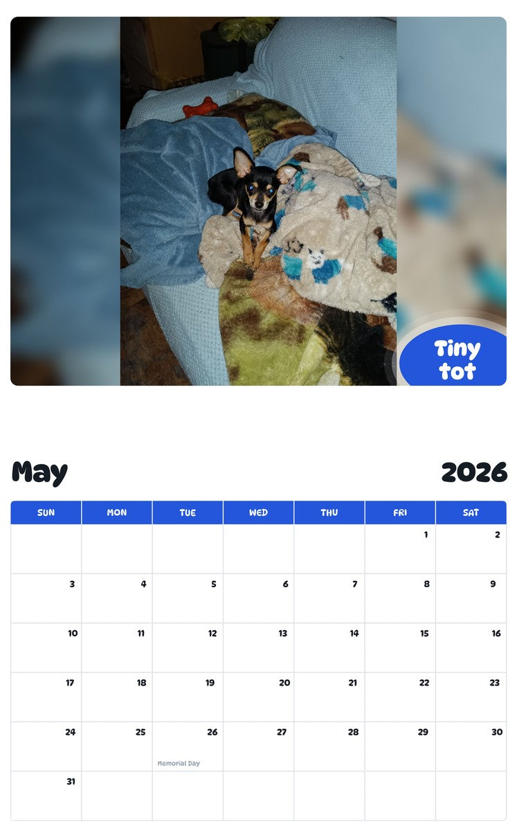 2026 - 2027 Tiny tot - Pawidols Pet Calendar