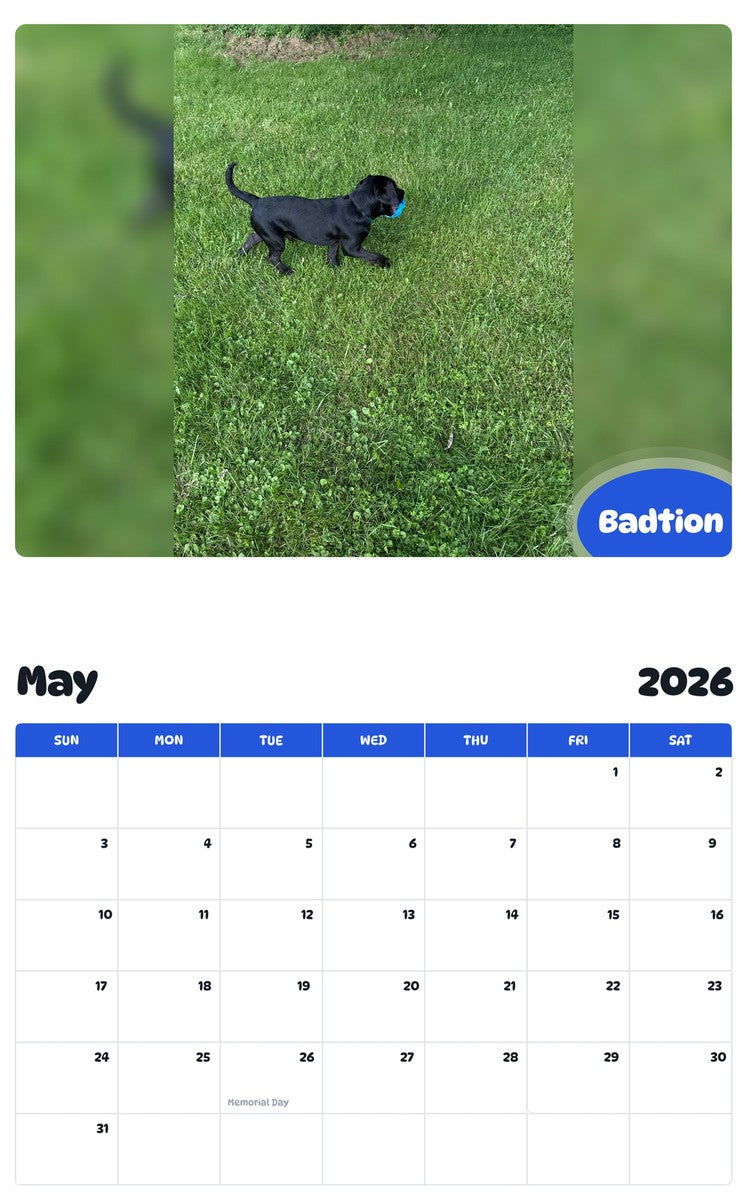 2026 - 2027 Badtion - Pawidols Pet Calendar