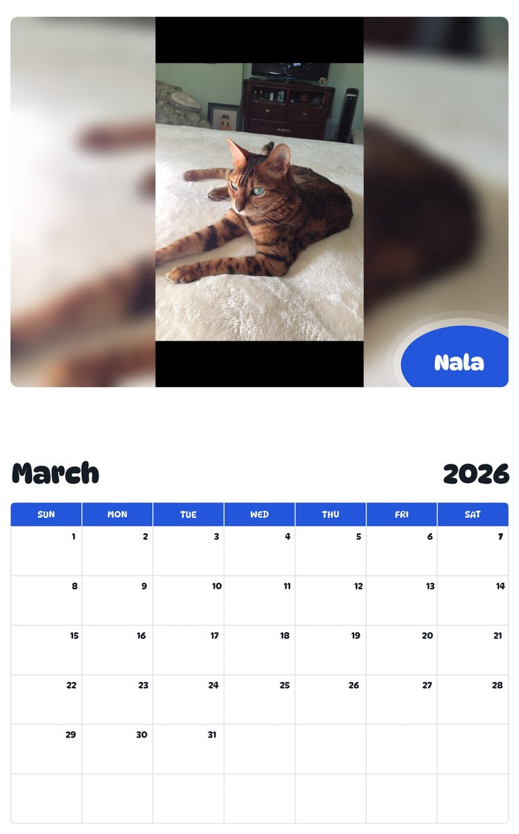November 2025 - October 2026 Nala - Pawidols Pet Calendar