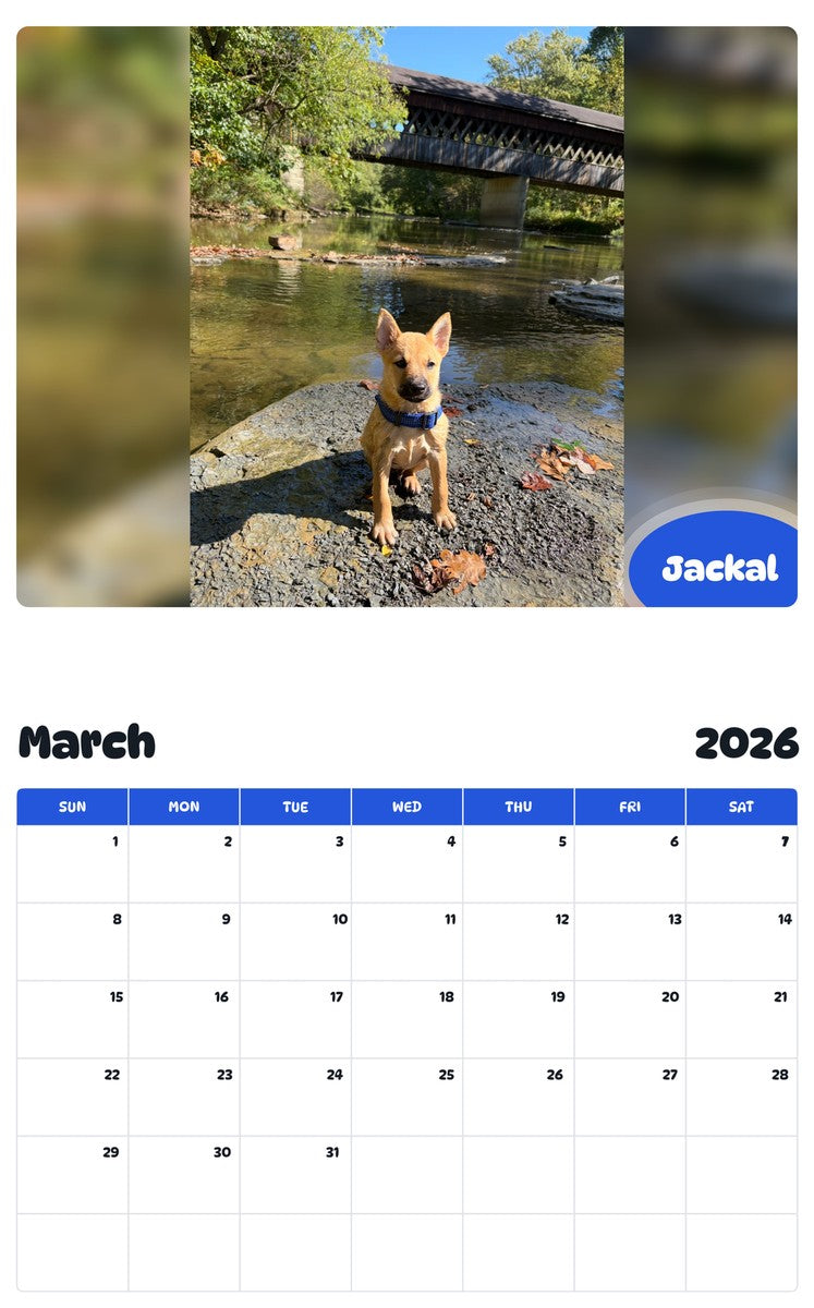 November 2025 - October 2026 Jackal - Pawidols Pet Calendar