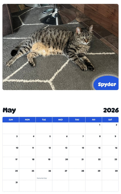 2026 - 2027 Spyder - Pawidols Pet Calendar