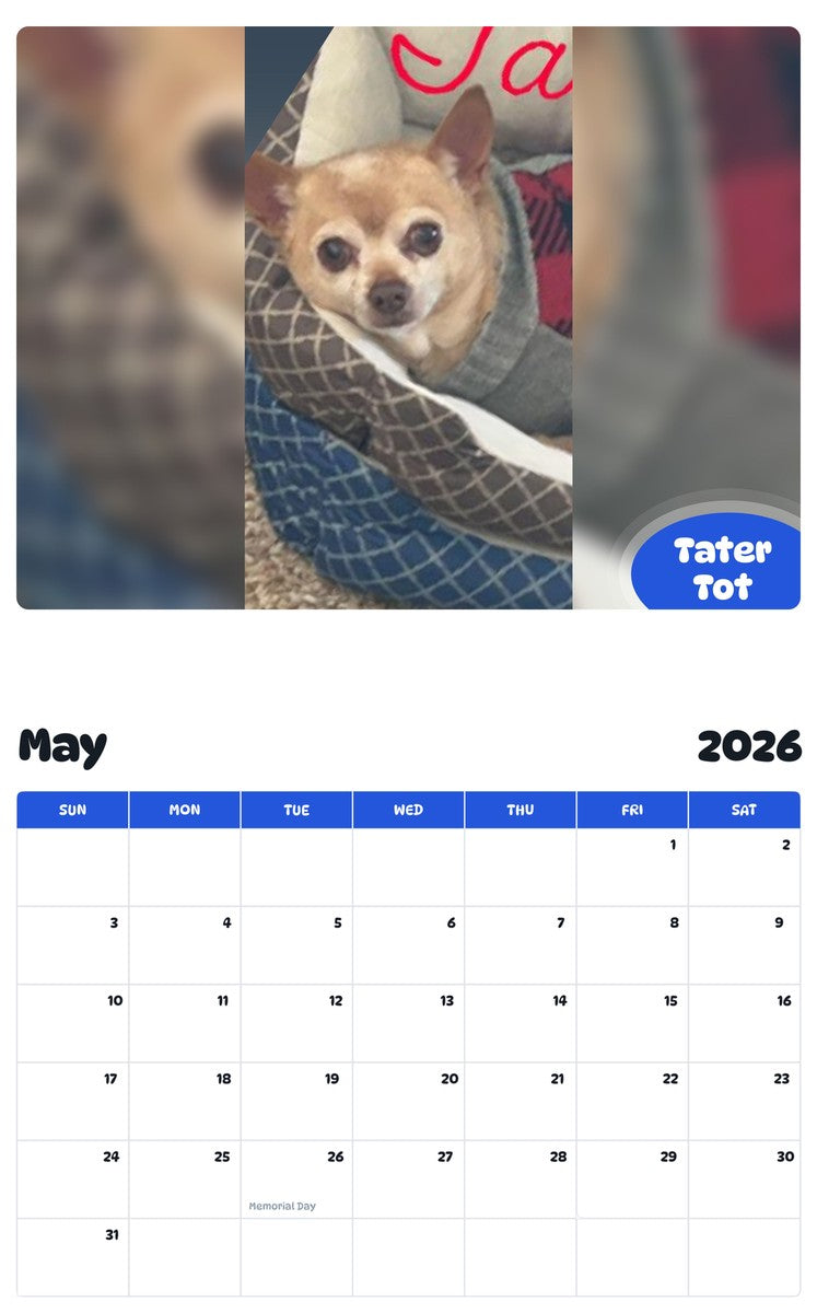 2026 - 2027 Tater Tot - Pawidols Pet Calendar