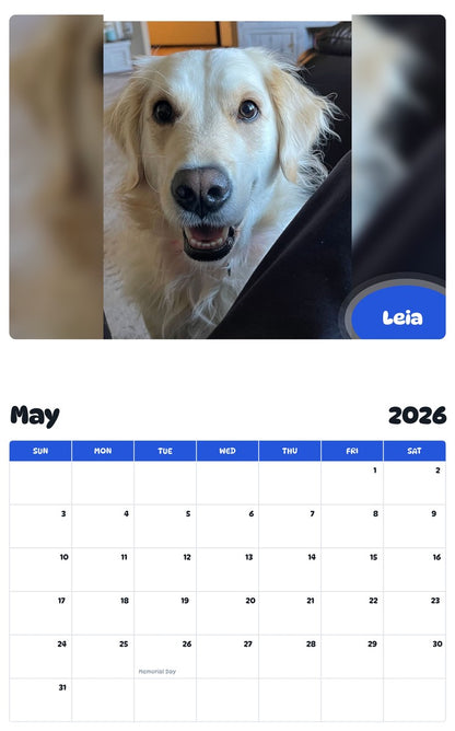 2026 - 2027 Leia - Pawidols Pet Calendar