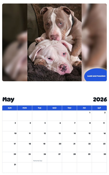 2026 - 2027 Locki and Poseidon - Pawidols Pet Calendar