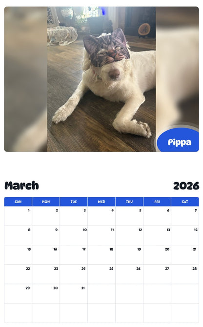 November 2025 - October 2026 Pippa - Pawidols Pet Calendar