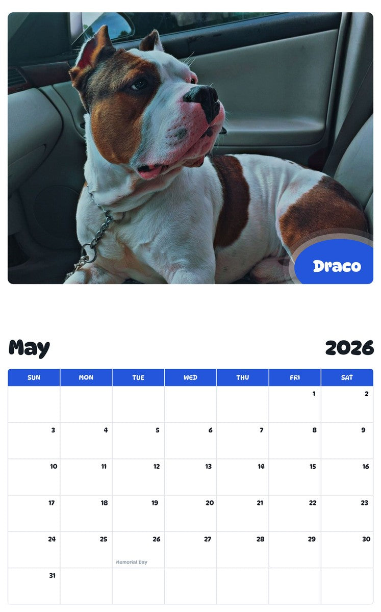 2026 - 2027 Draco - Pawidols Pet Calendar