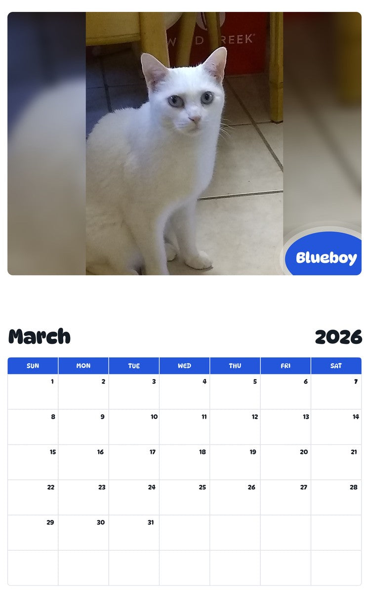 November 2025 - October 2026 Blueboy - Pawidols Pet Calendar