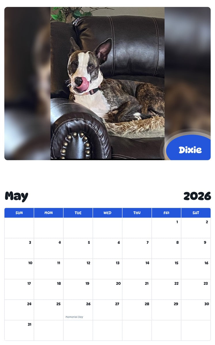 2026 - 2027 Dixie - Pawidols Pet Calendar