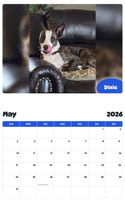 2026 - 2027 Dixie - Pawidols Pet Calendar