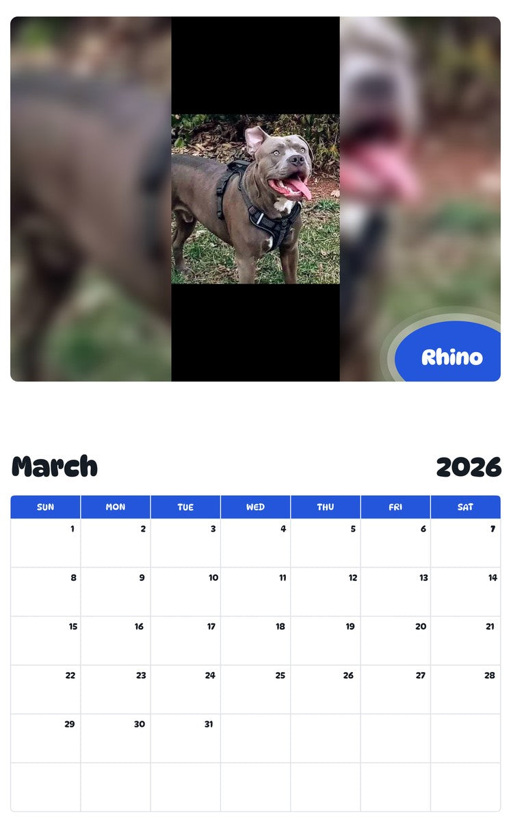 November 2025 - October 2026 Rhino - Pawidols Pet Calendar