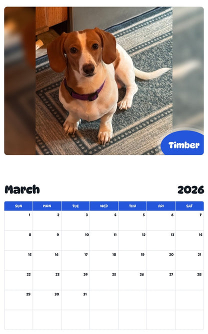 November 2025 - October 2026 Timber - Pawidols Pet Calendar