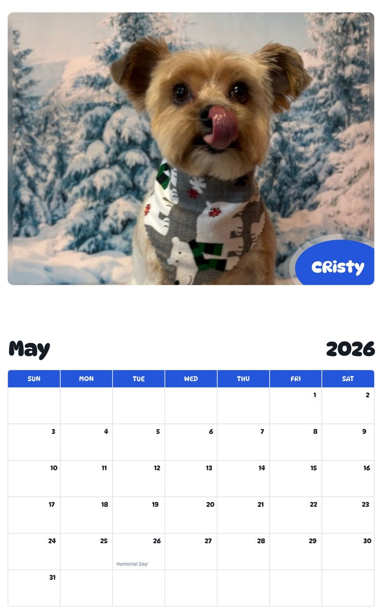 2026 - 2027 CRisty - Pawidols Pet Calendar