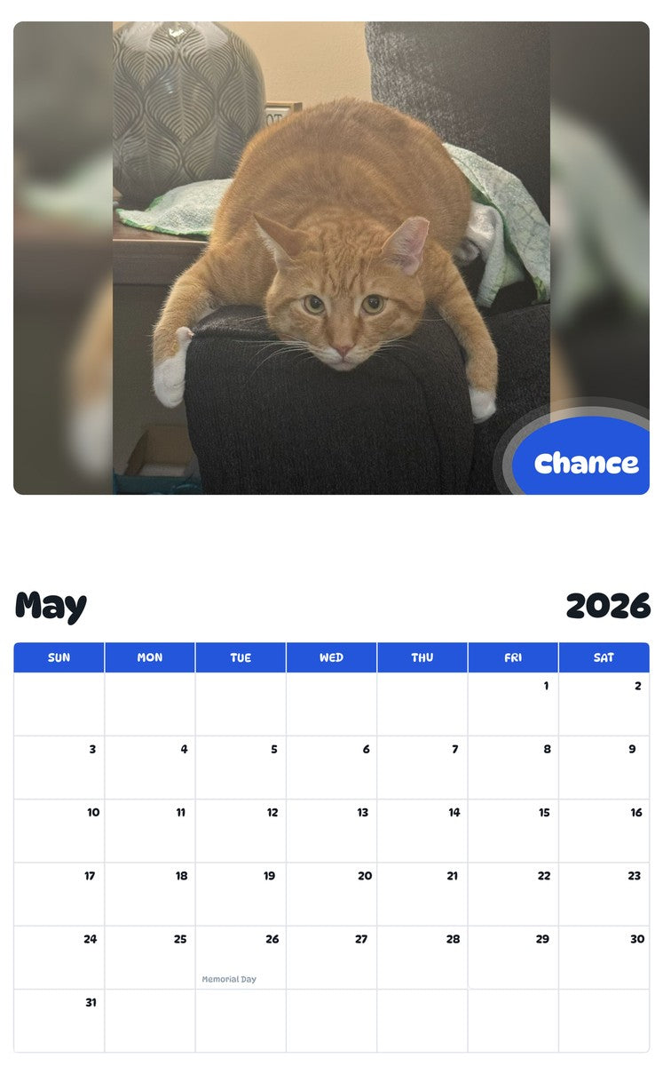 2026 - 2027 Chance - Pawidols Pet Calendar