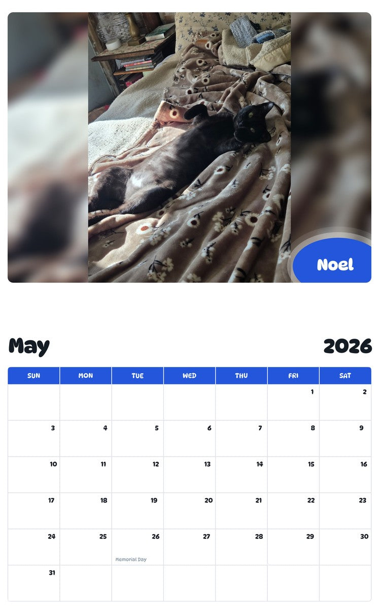 2026 - 2027 Noel - Pawidols Pet Calendar
