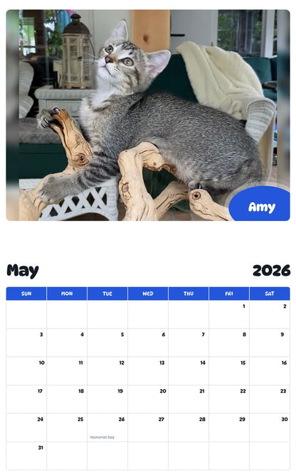 2026 - 2027 Amy - Pawidols Pet Calendar