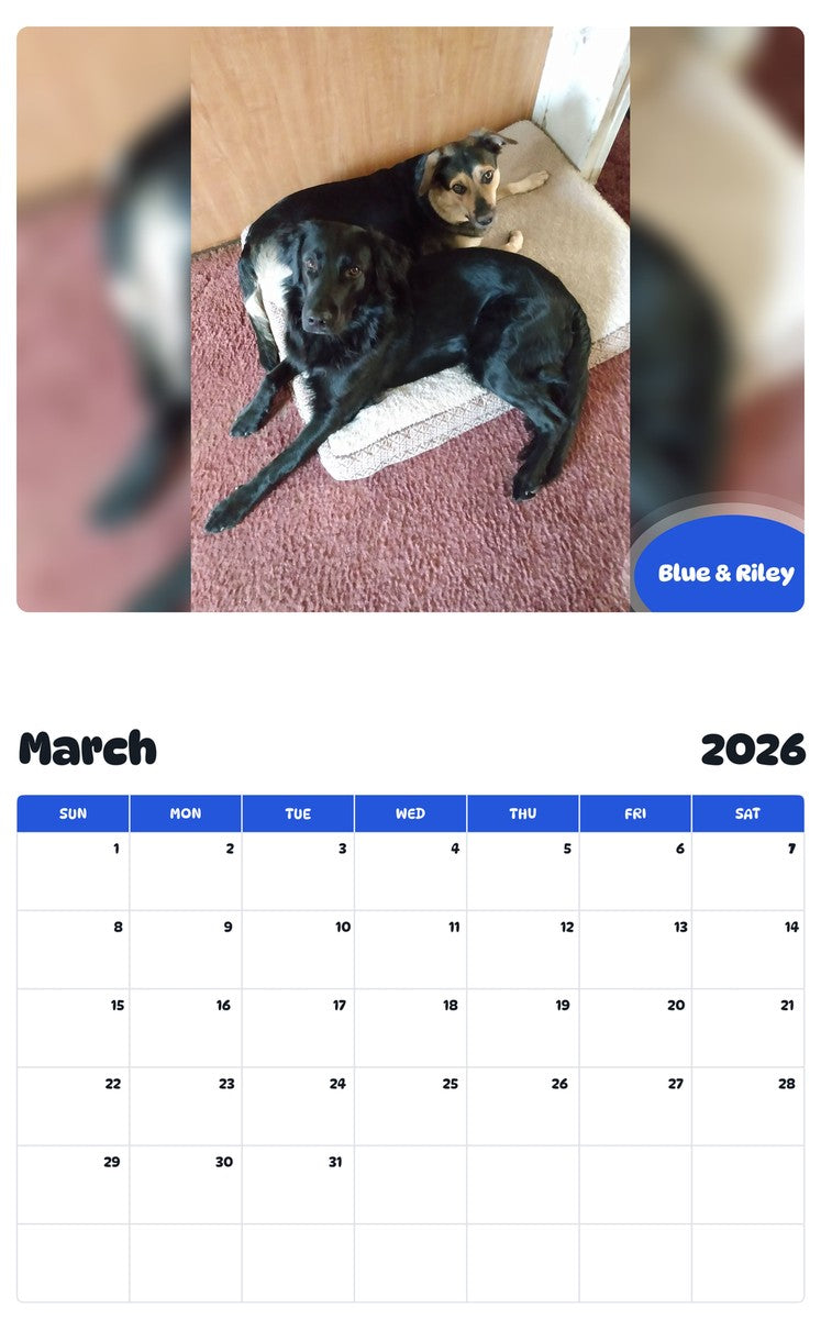 November 2025 - October 2026 Blue & Riley - Pawidols Pet Calendar