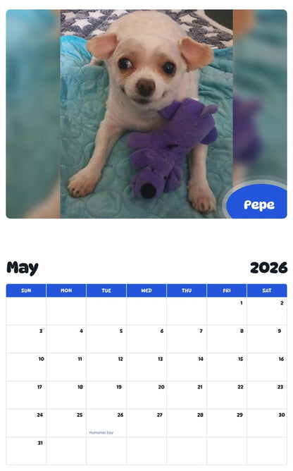 2026 - 2027 Pepe - Pawidols Pet Calendar