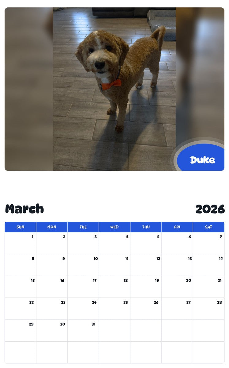 November 2025 - October 2026 Duke - Pawidols Pet Calendar