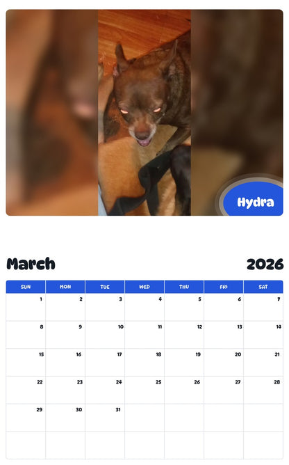 November 2025 - October 2026 Hydra - Pawidols Pet Calendar