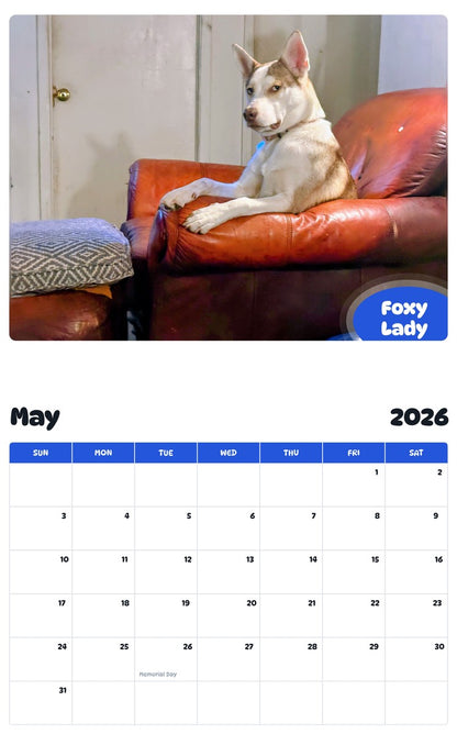 2026 - 2027 Foxy Lady - Pawidols Pet Calendar