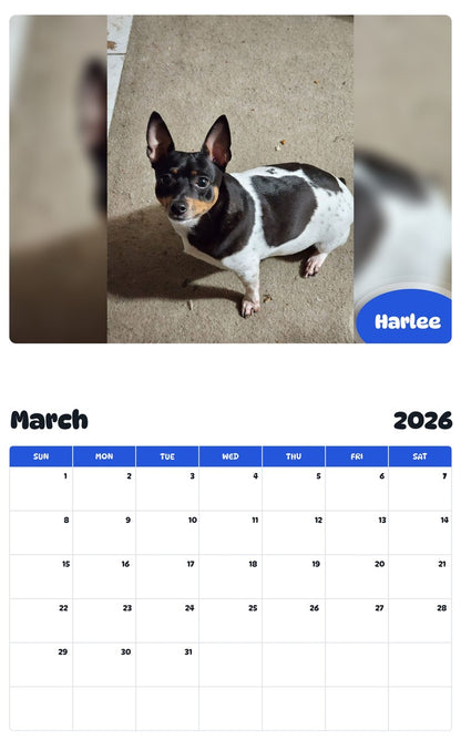 November 2025 - October 2026 Harlee - Pawidols Pet Calendar