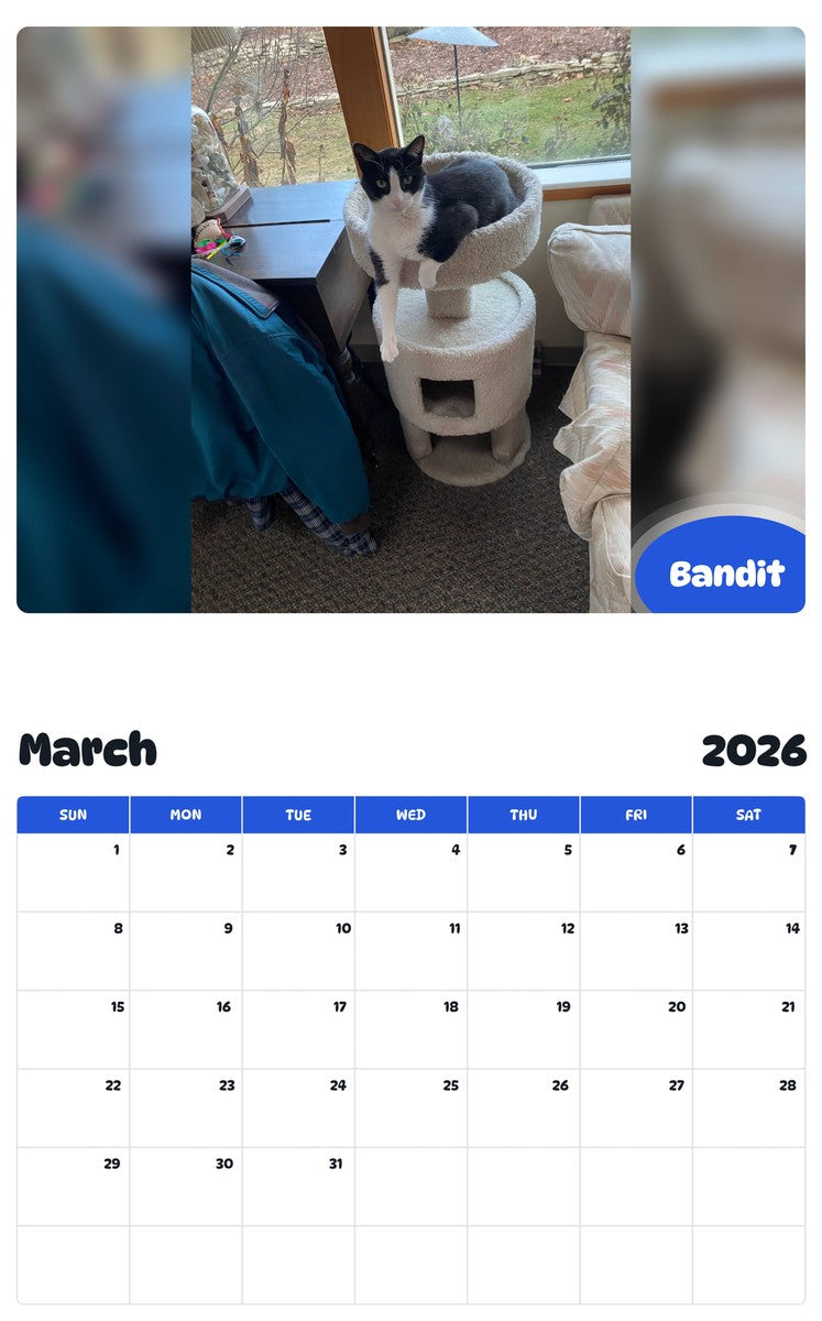 November 2025 - October 2026 Bandit - Pawidols Pet Calendar