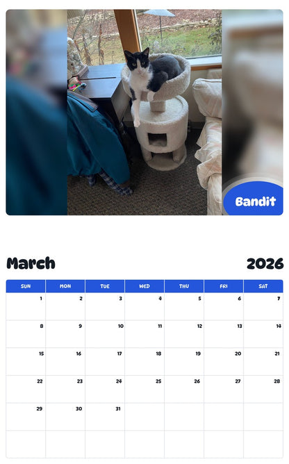 November 2025 - October 2026 Bandit - Pawidols Pet Calendar