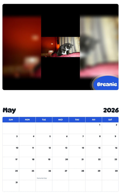 2026 - 2027 Breanie - Pawidols Pet Calendar