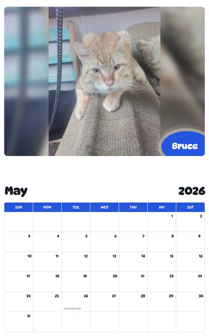 2026 - 2027 Bruce - Pawidols Pet Calendar