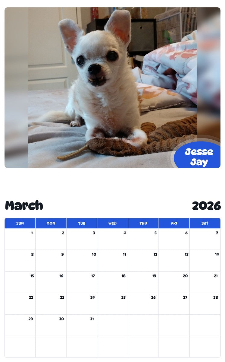 November 2025 - October 2026 Jesse Jay - Pawidols Pet Calendar