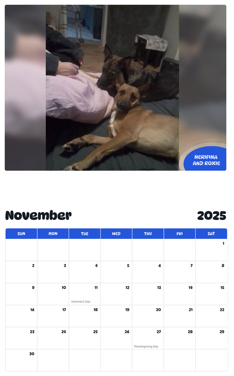 July 2025 - June 2026 Nerifina and Roxie - Pawidols Pet Calendar