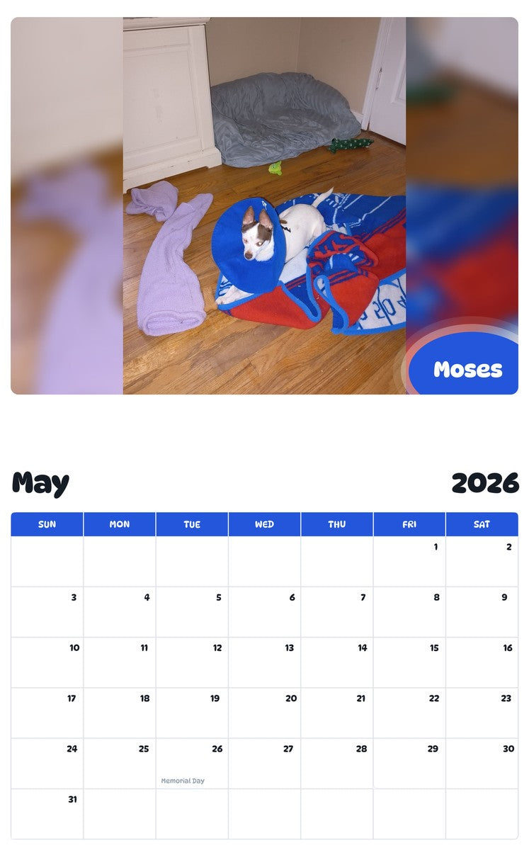 2026 - 2027 Moses - Pawidols Pet Calendar