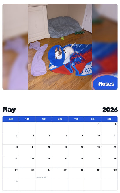 2026 - 2027 Moses - Pawidols Pet Calendar