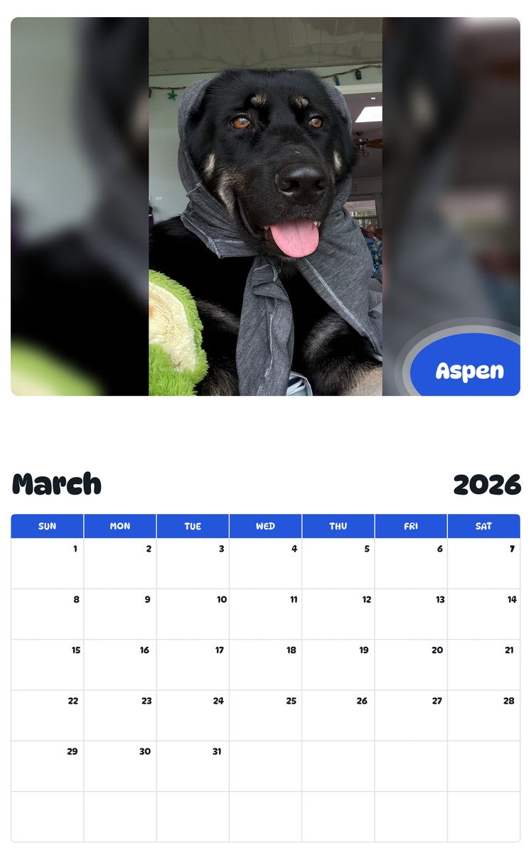 November 2025 - October 2026 Aspen - Pawidols Pet Calendar