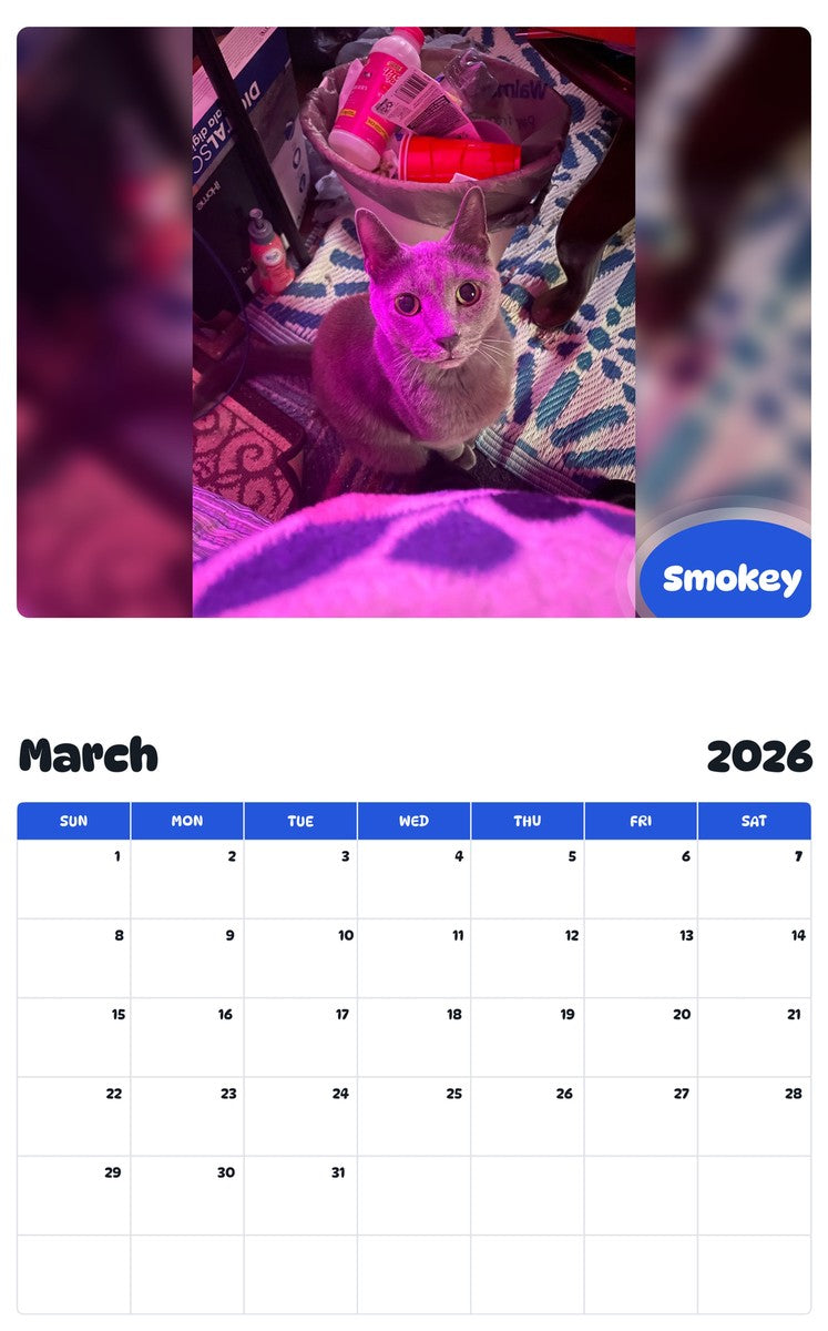 November 2025 - October 2026 Smokey - Pawidols Pet Calendar