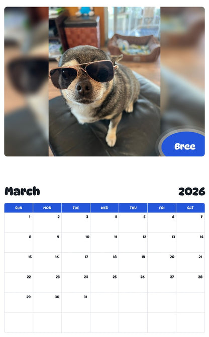 November 2025 - October 2026 Bree - Pawidols Pet Calendar