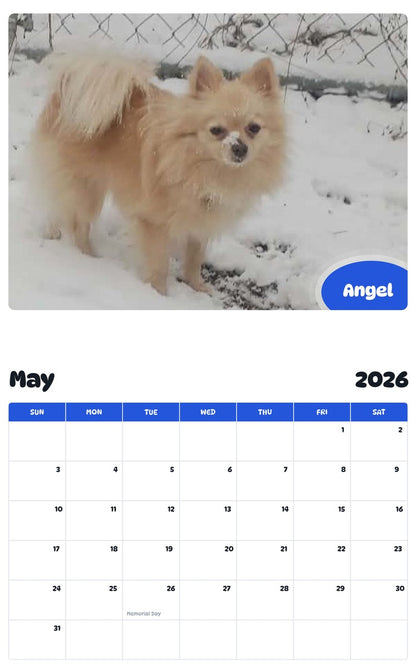 2026 - 2027 Angel - Pawidols Pet Calendar